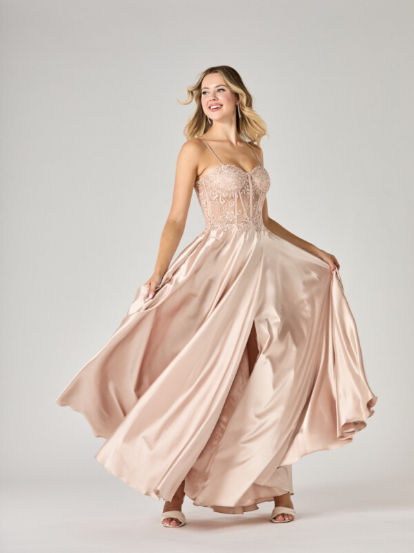 Paloma - Image 3