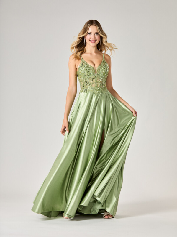 Saylor - Image 2